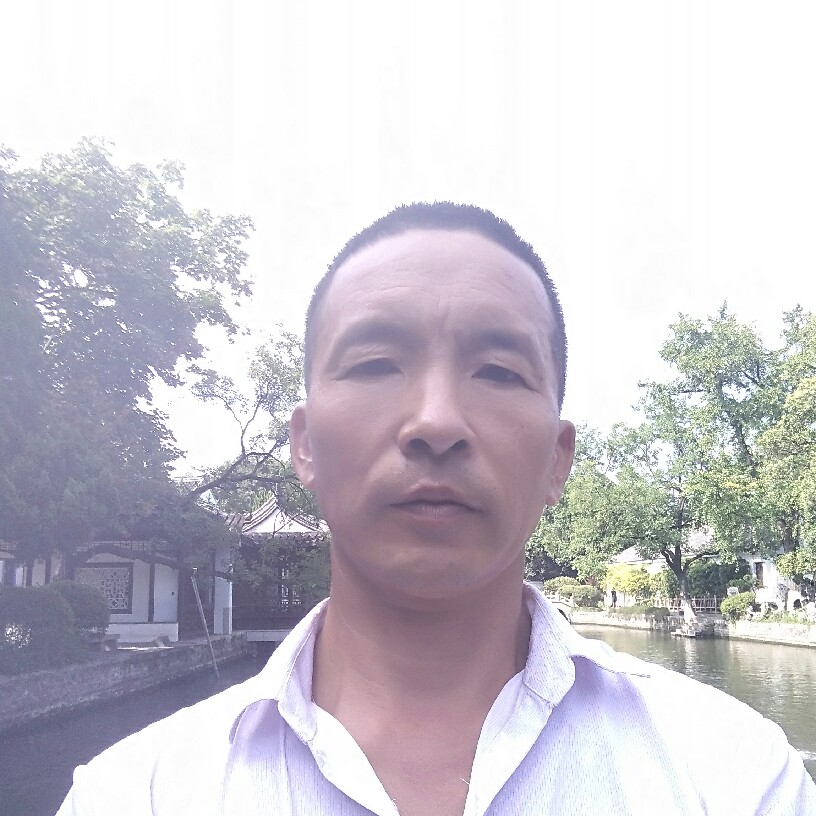 迷路邂逅小海豚的照片