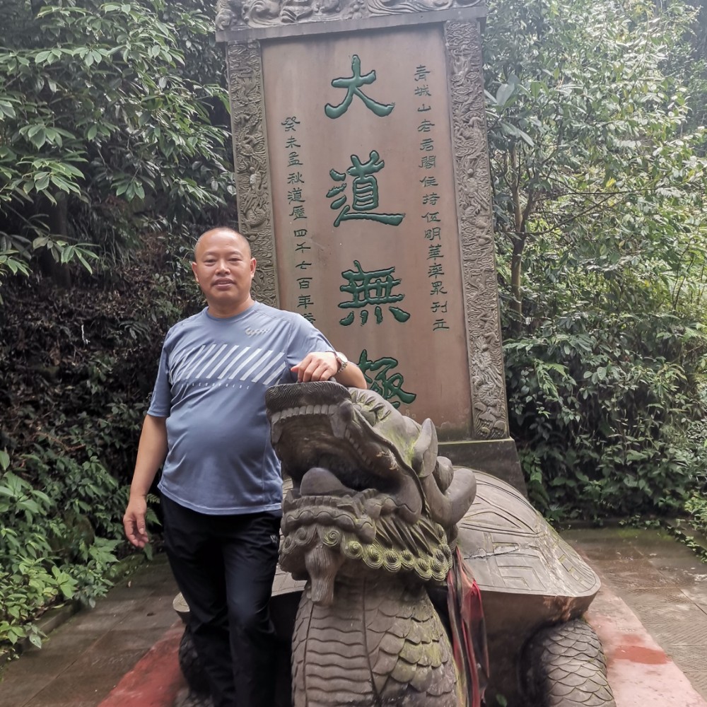 狗回眸有魅力的照片