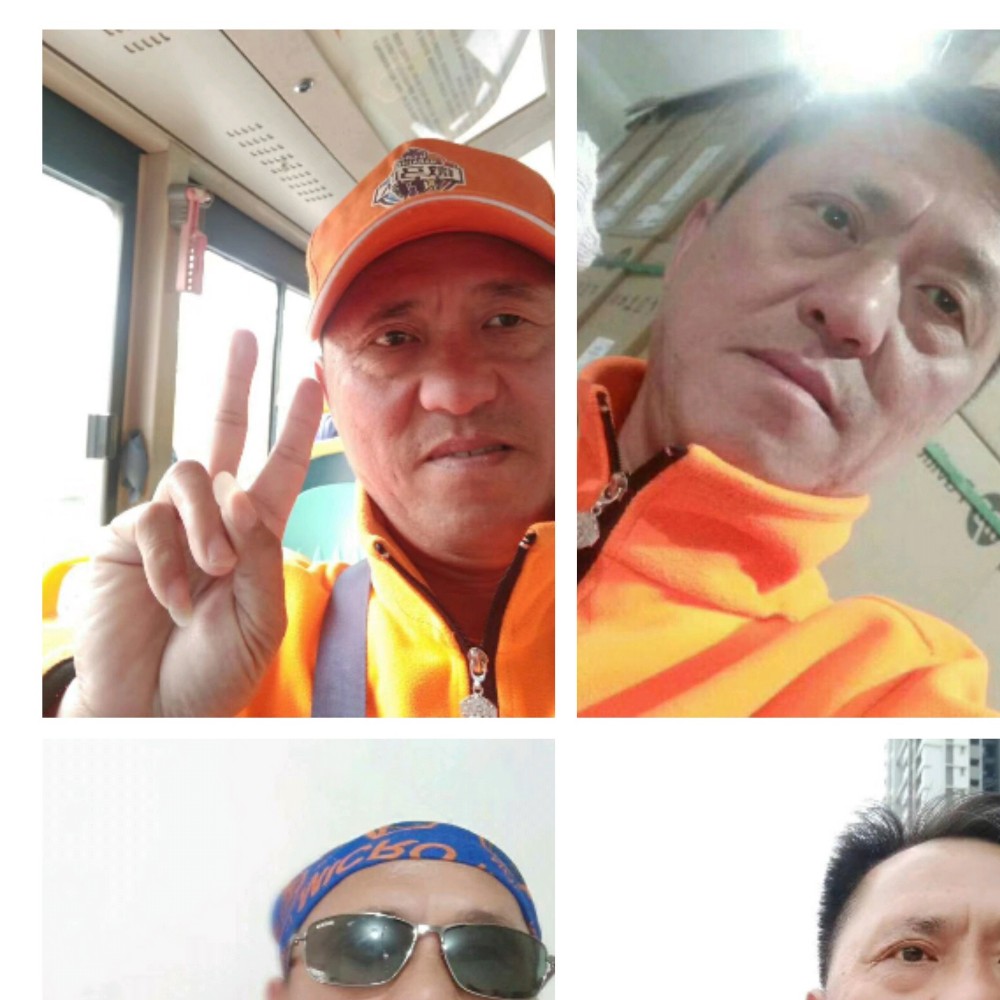 激昂回首康乃馨的照片