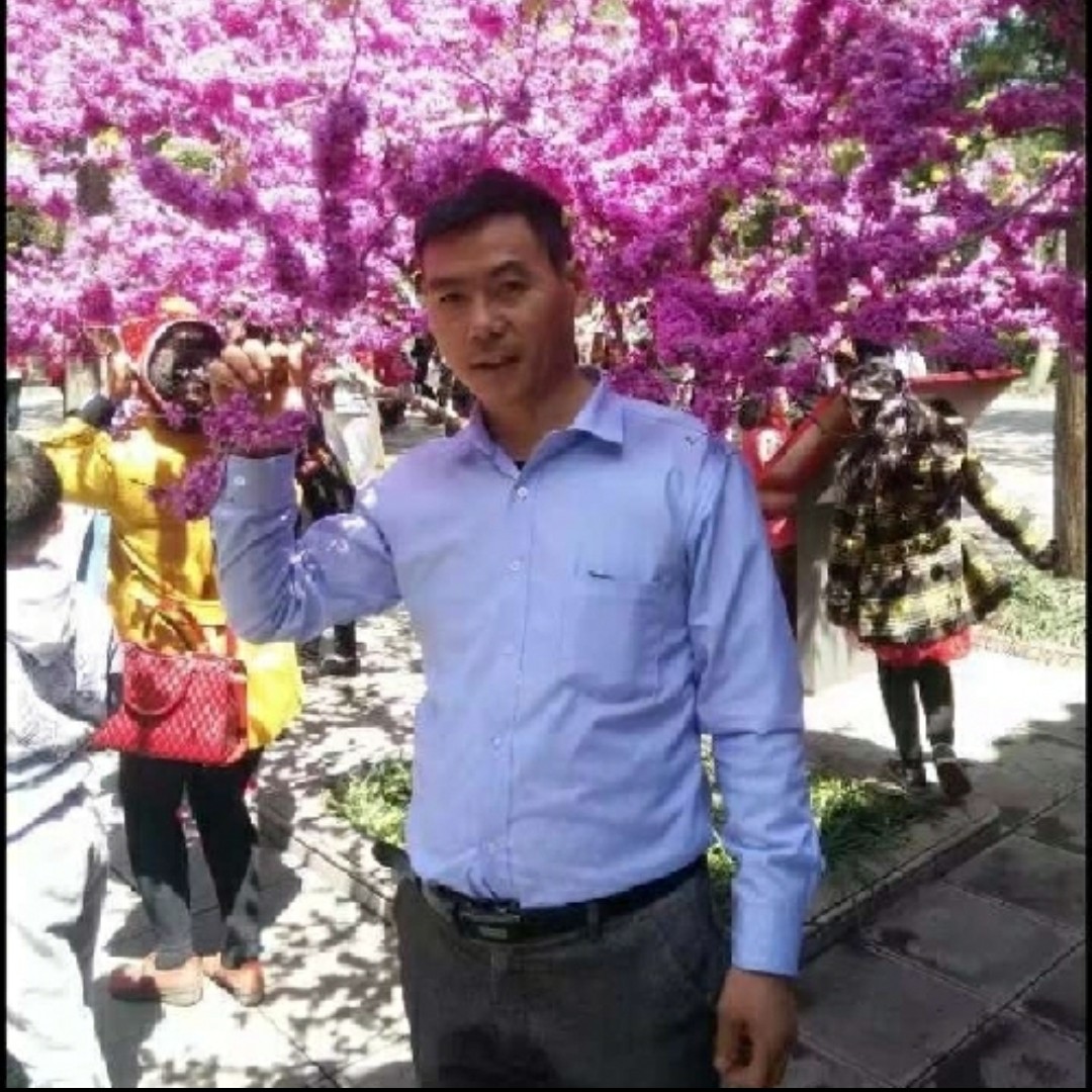 结实停止小鸭子的照片