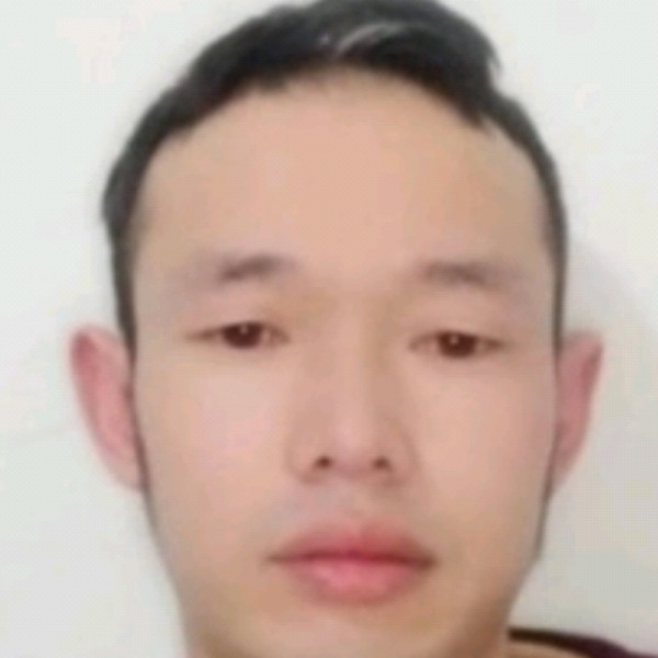 小松鼠有淡淡的照片