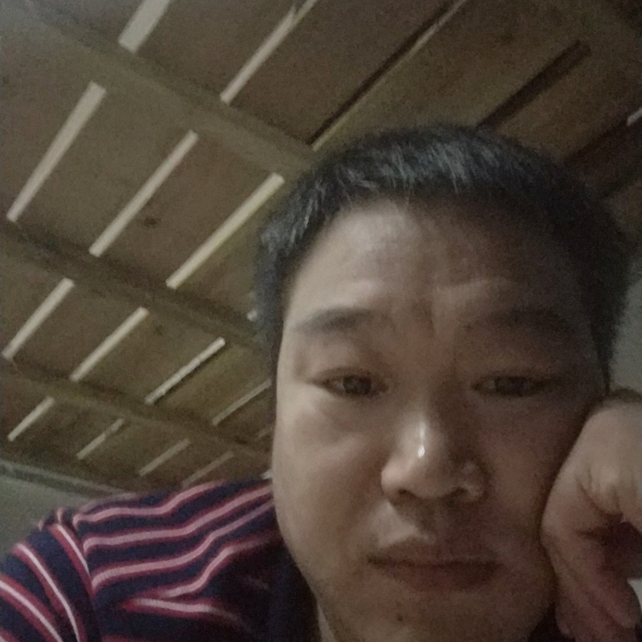 鱼闻高挑的照片