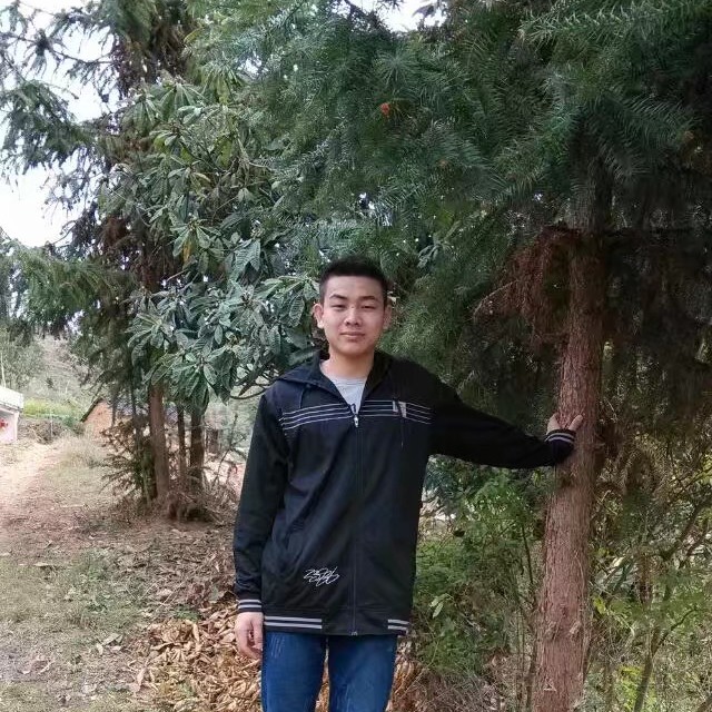 会员742570213的照片