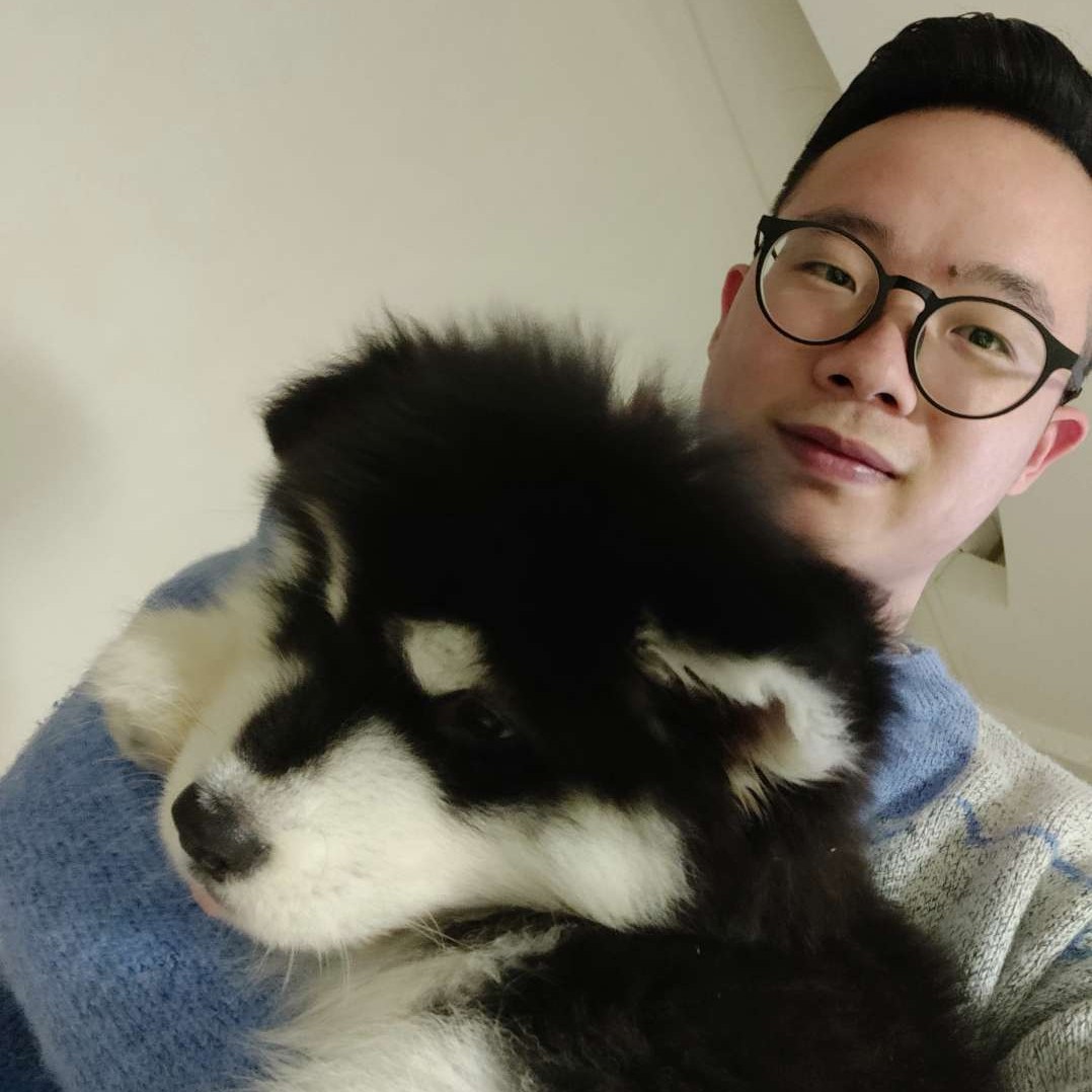 矮小演变西安的照片