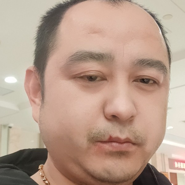@森林狼的照片
