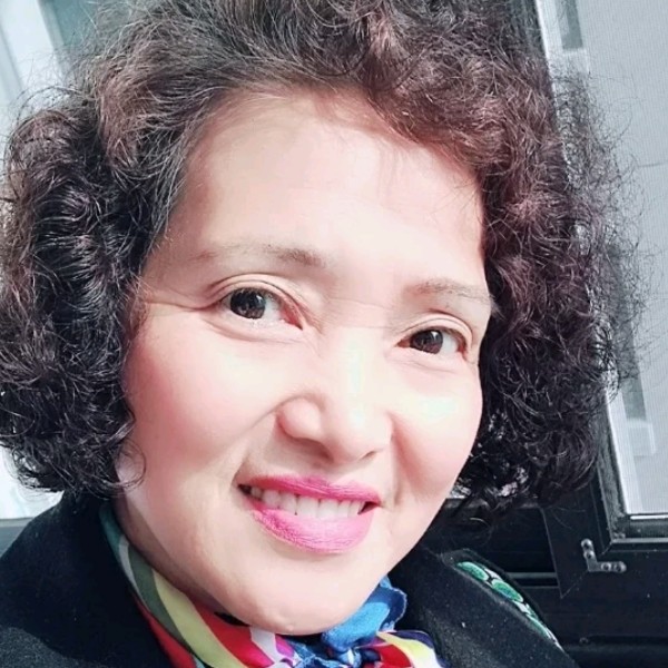 谨慎停止含羞草的照片