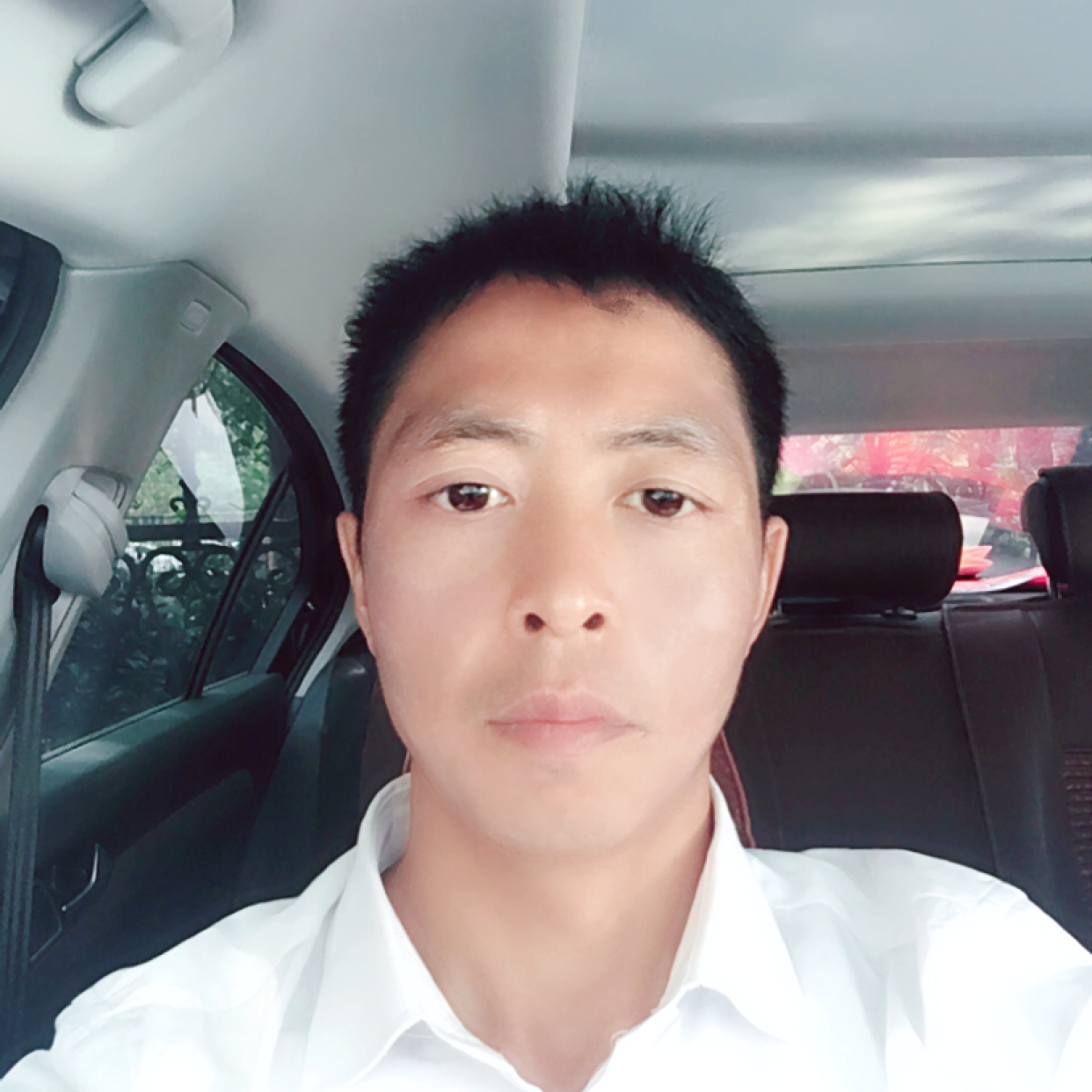 草莓等待无心的照片