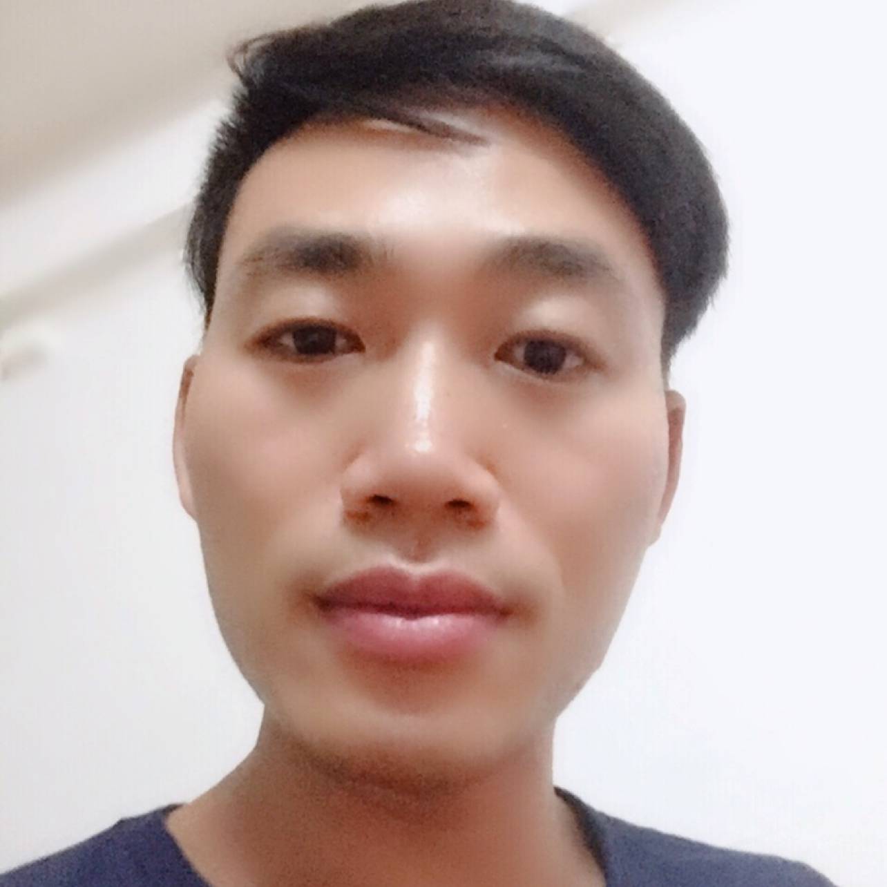 大白和雪见的照片
