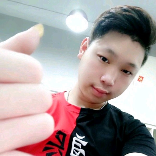 乌龟拼搏的照片