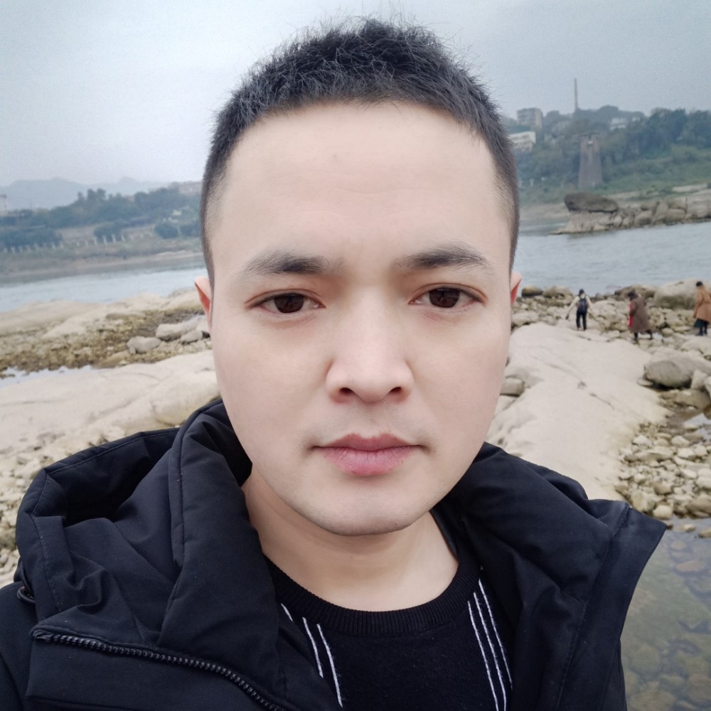 动听打狗的照片