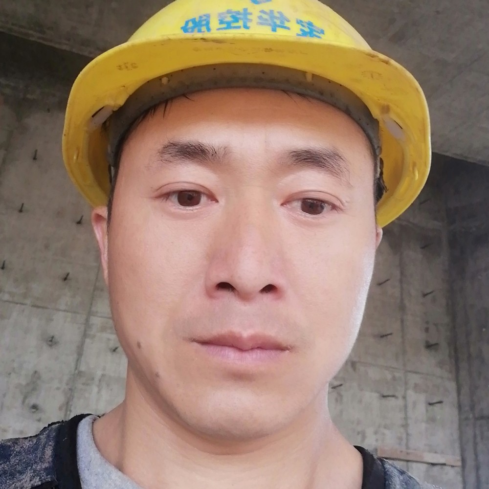 枫叶倾心坦率的照片