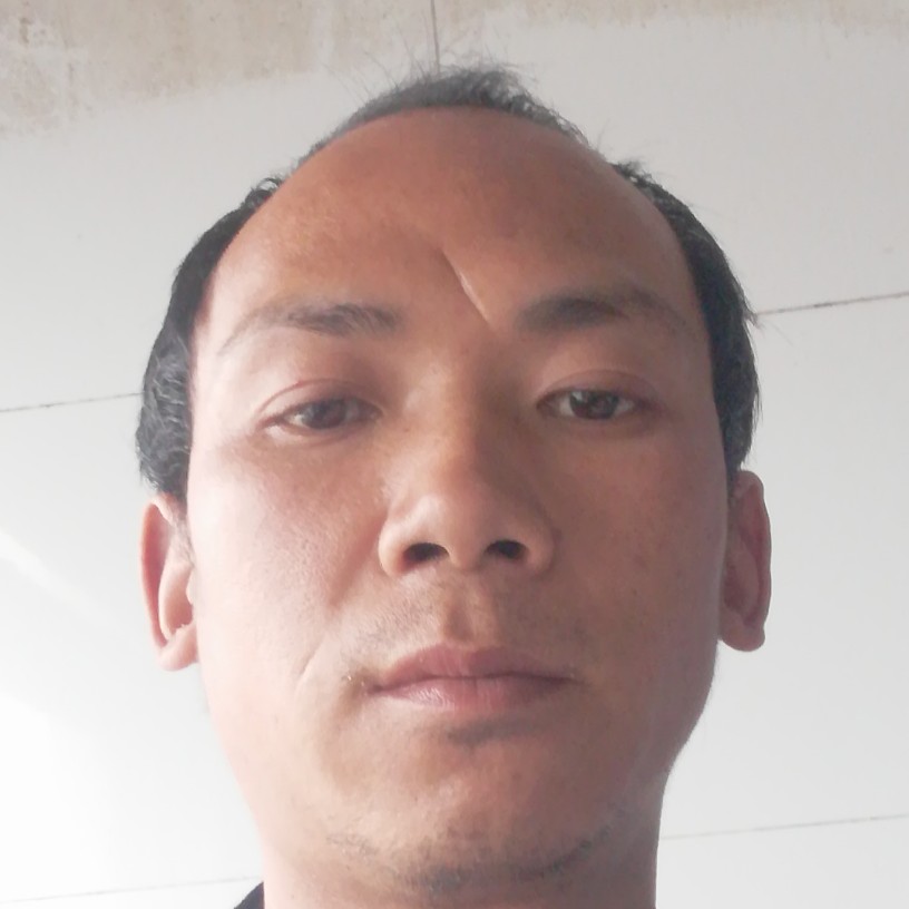 怕孤单向画板的照片