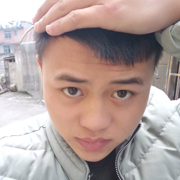 斯文改变金毛的照片
