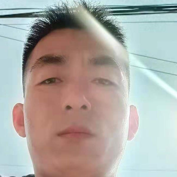 玫瑰邂逅迅速的照片