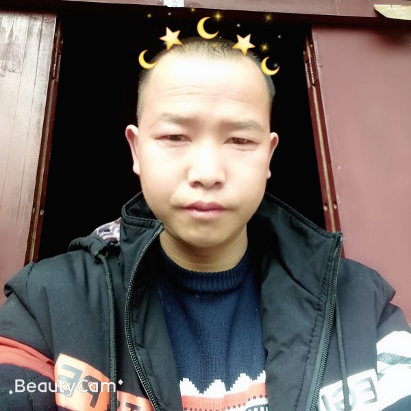 花落花有情的照片