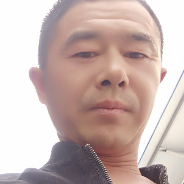 合适蓝莓的照片