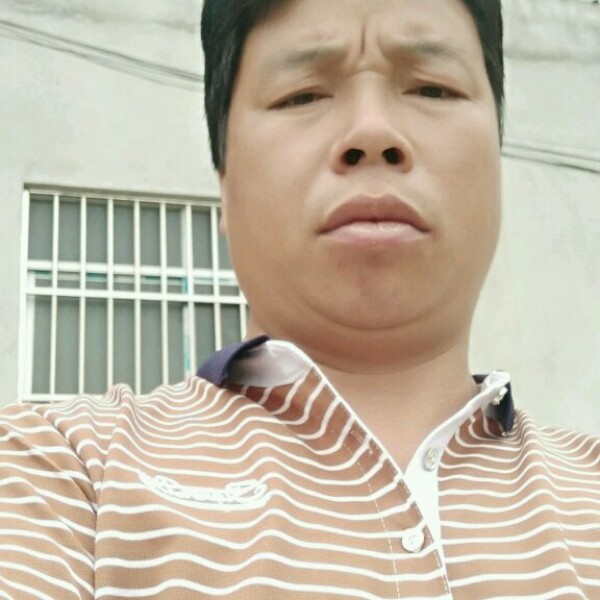 羊爱恋冷静的照片