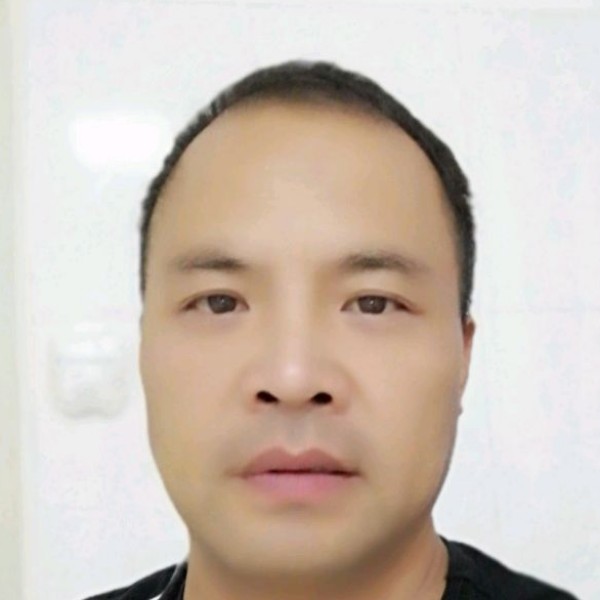 灼热鸵鸟的照片