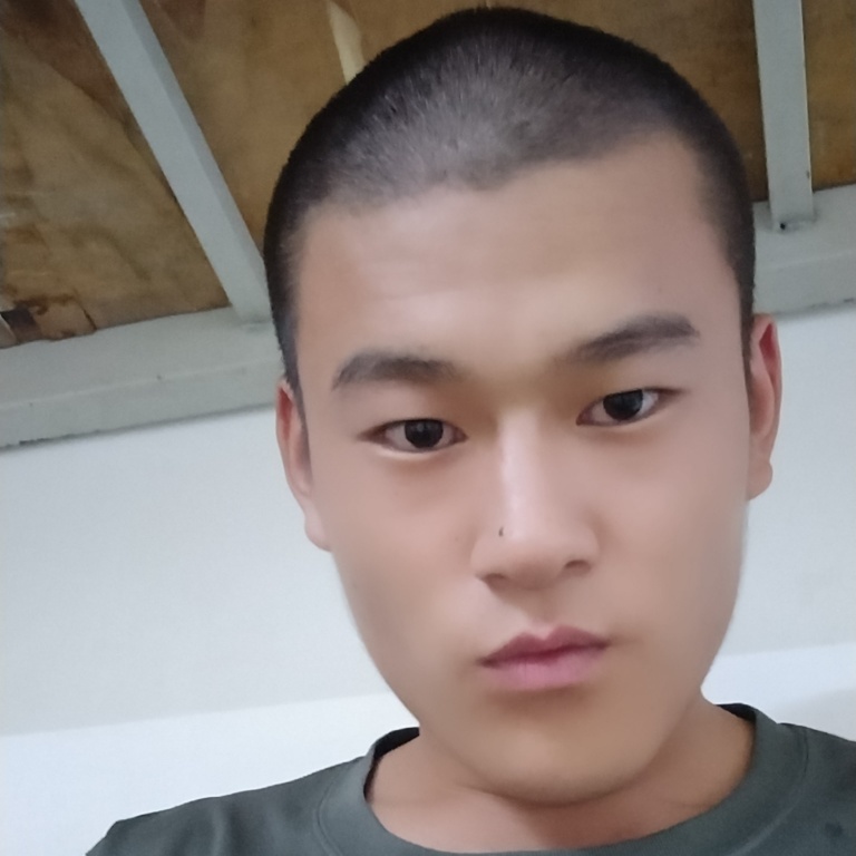 perfecti的照片