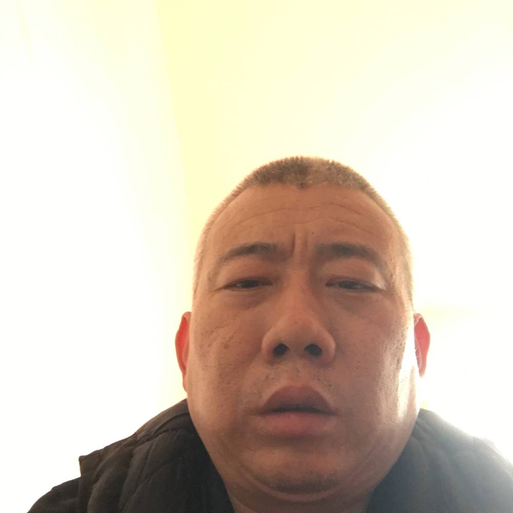 八匹的照片