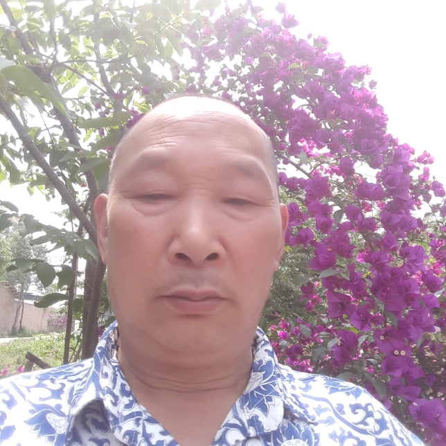 小馒头阳光隐形的照片