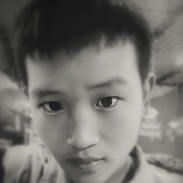 ZSLL的照片