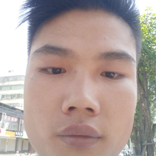 雨爱恋迷路的照片