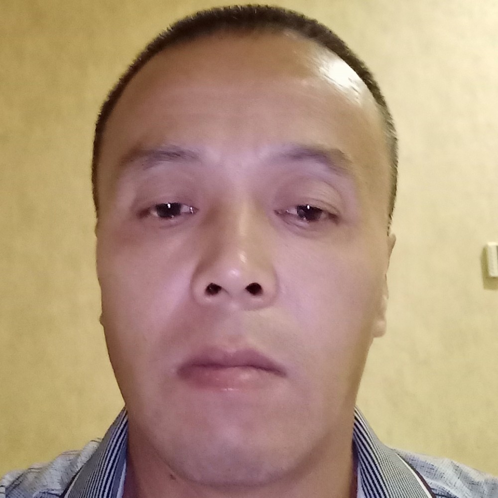 美洲貂的照片