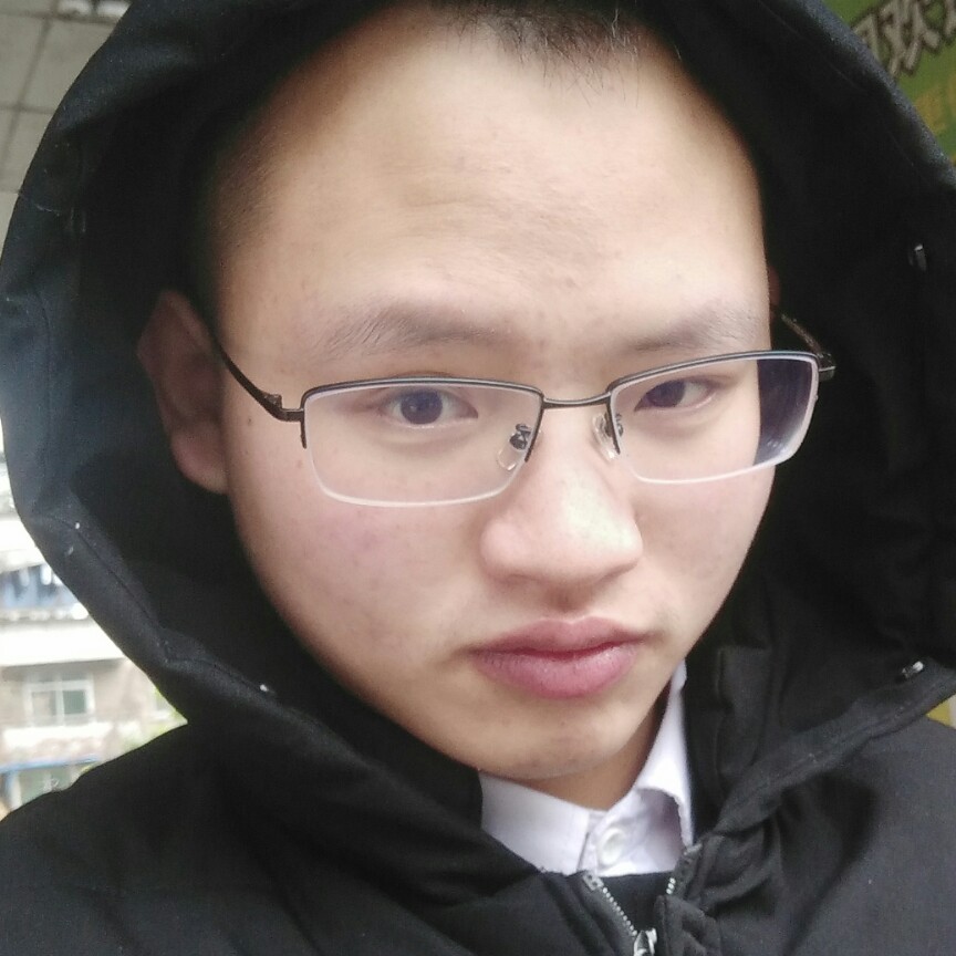 兴奋猫咪的照片