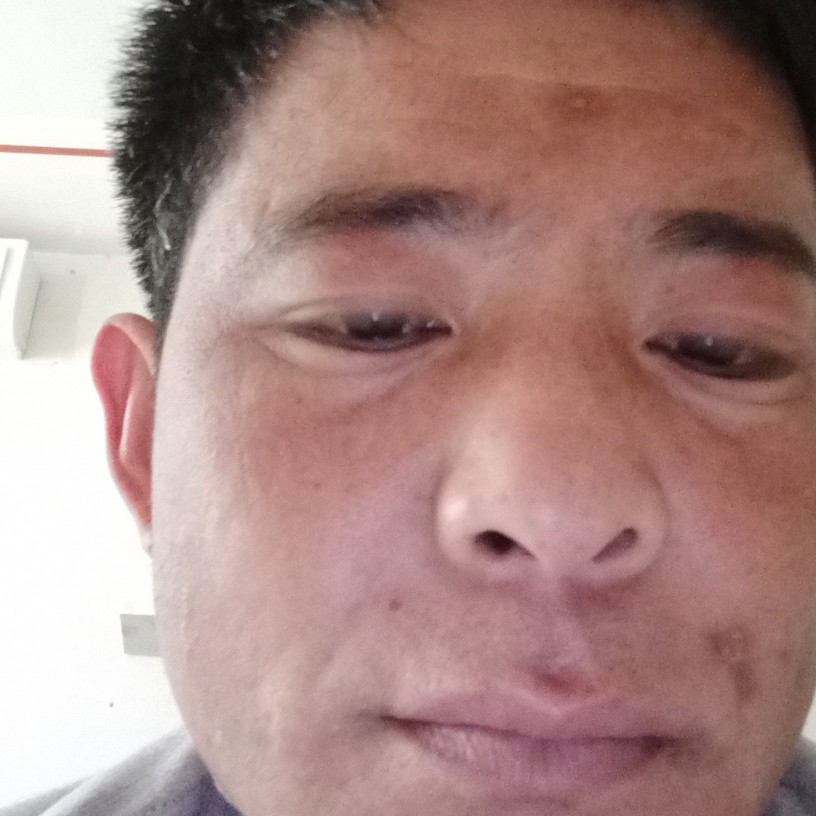 迎春迎囍的照片