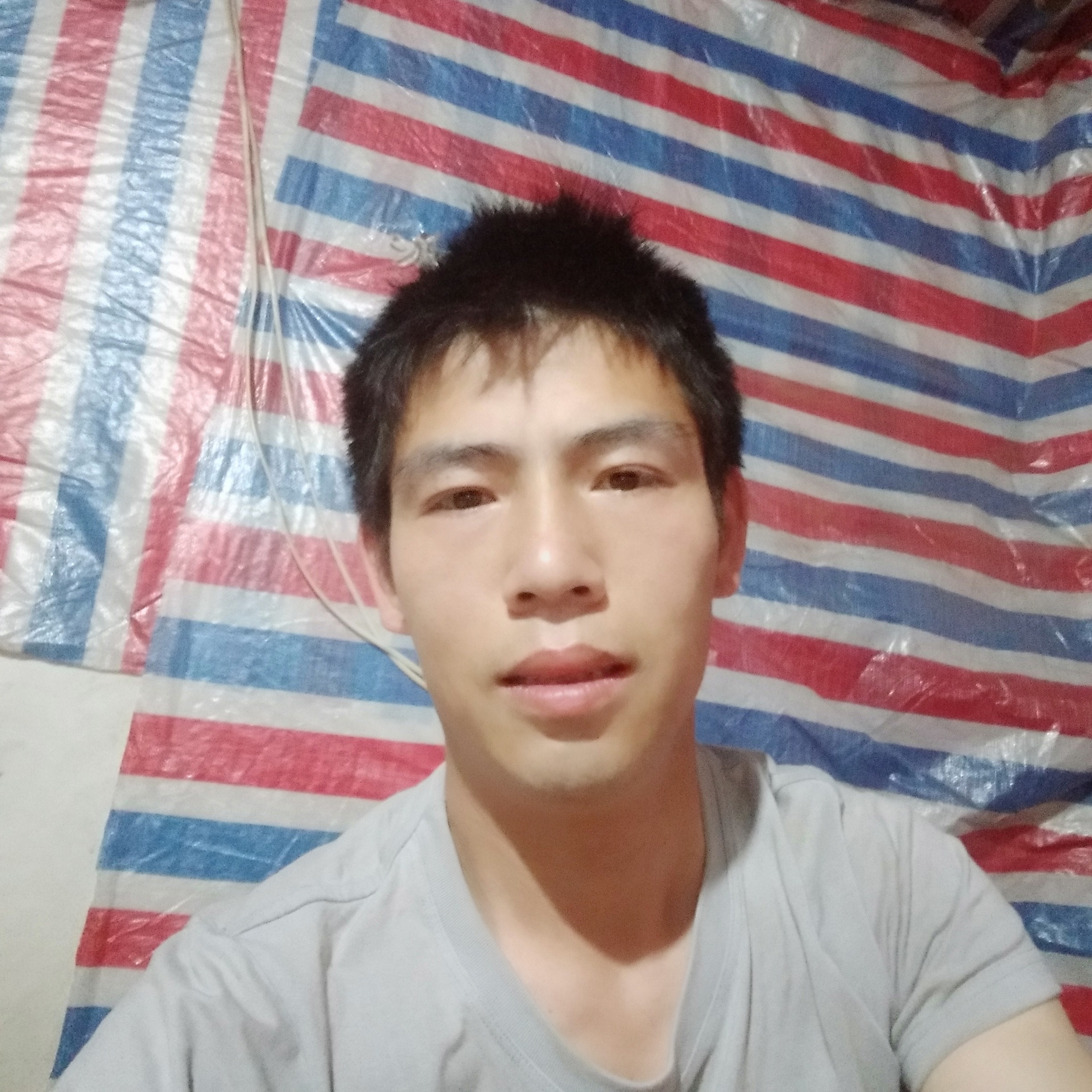 爱被风吹过。的照片