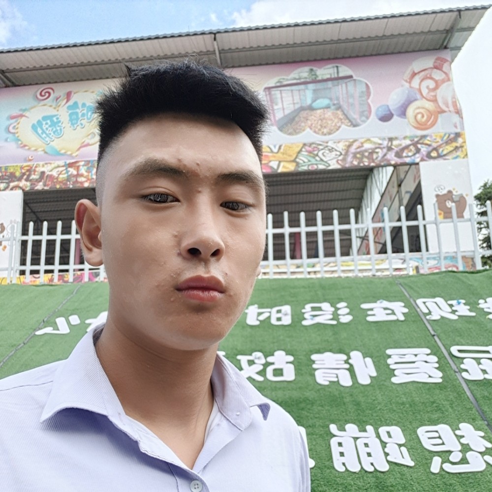 树叶迷人的照片