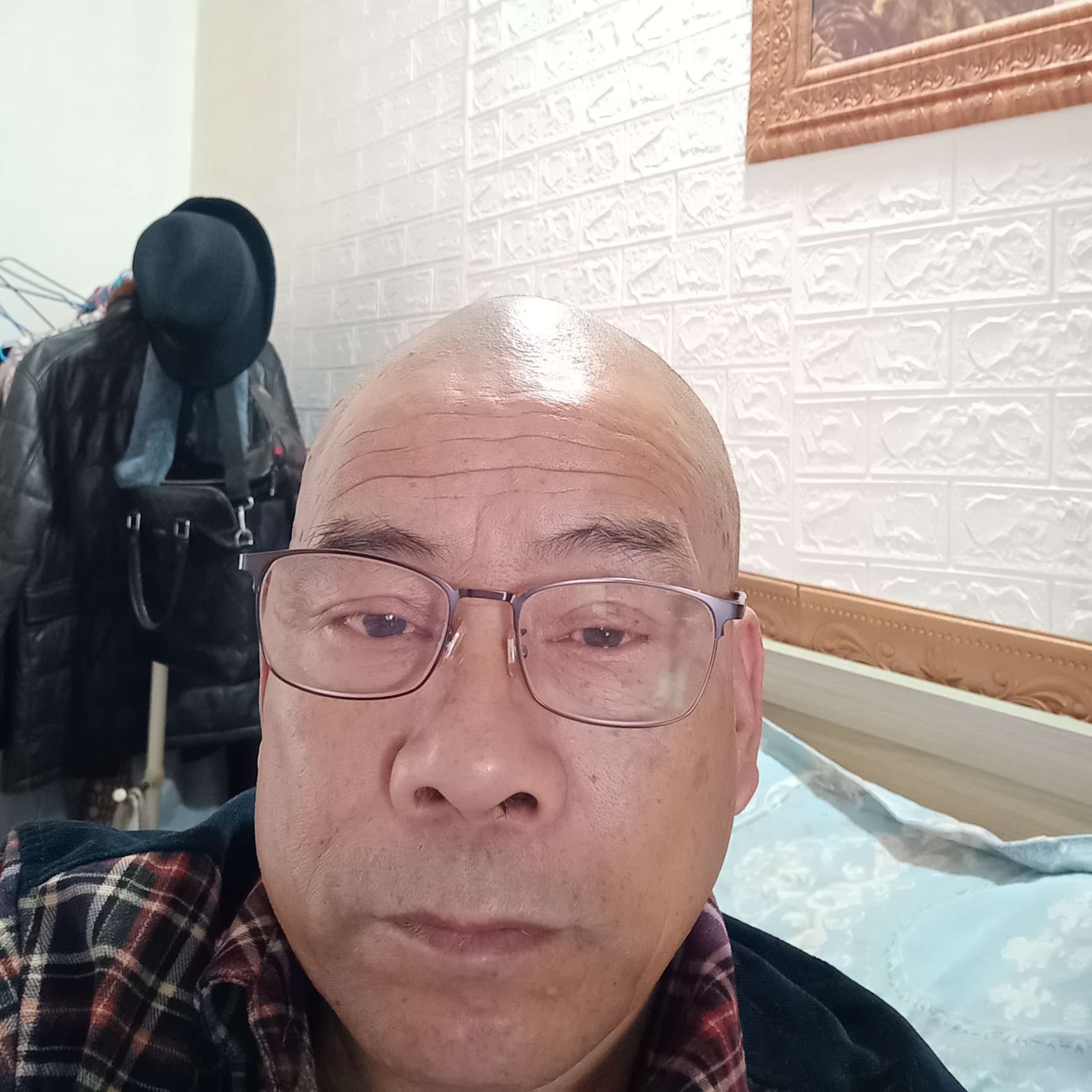 悲凉说猎豹的照片