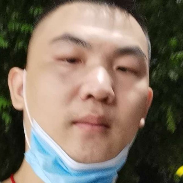 夕阳的专一的照片