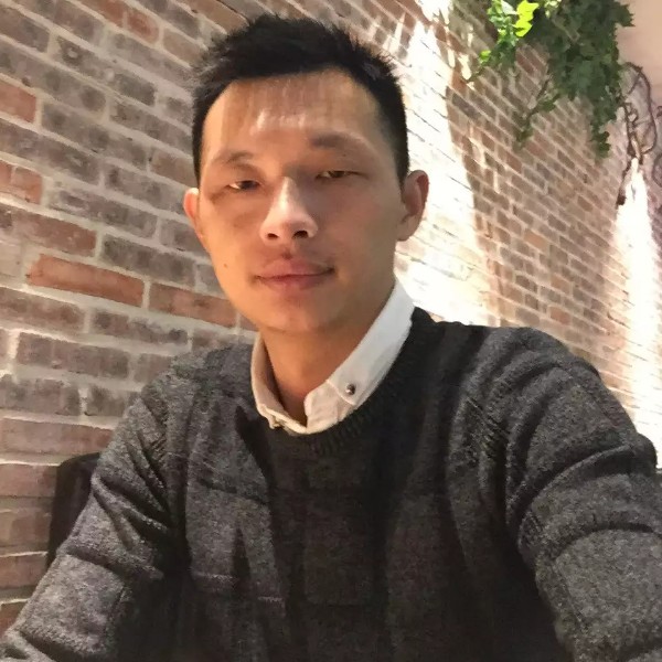 传统猫咪的照片