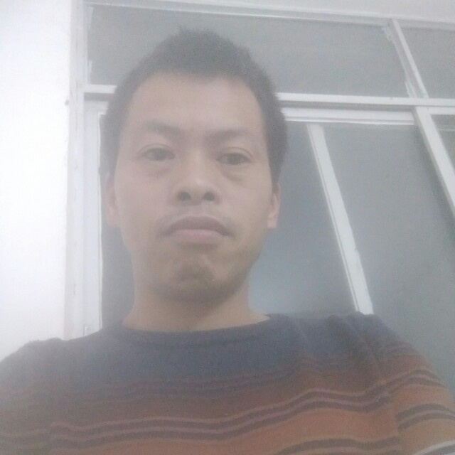 漂柏树叶的照片
