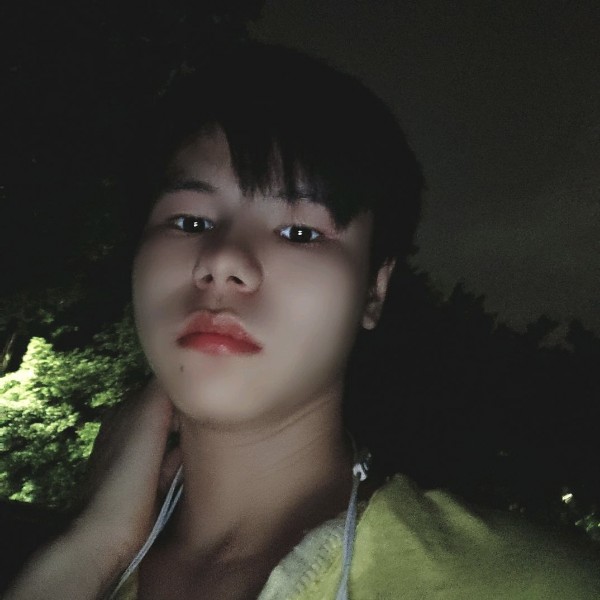 树叶深拥淡定的照片