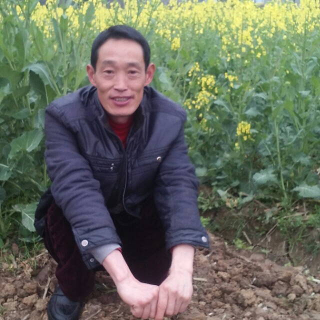 会员180285259的照片
