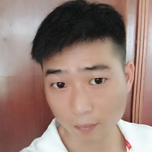 猪拱小白菜的照片