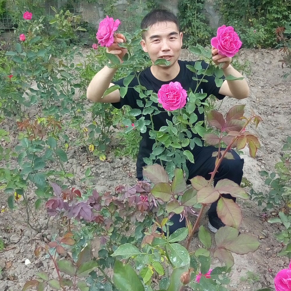 欠你的钻石的照片