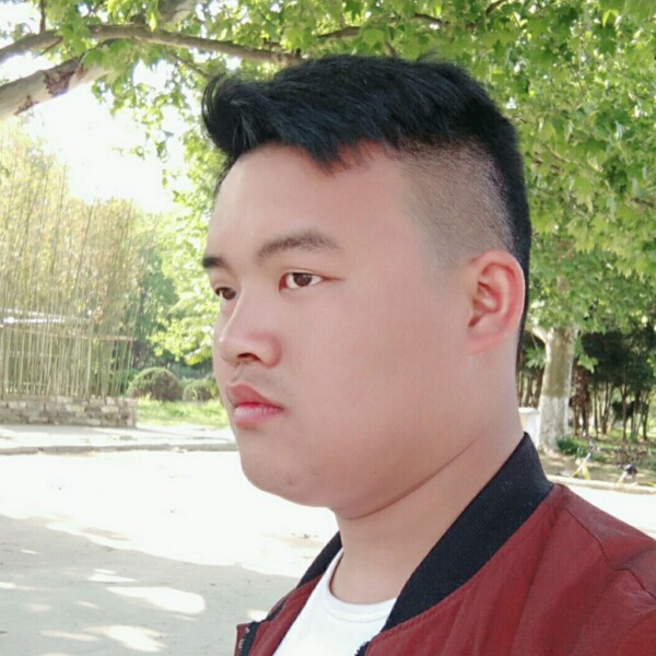 碧蓝金针菇的照片