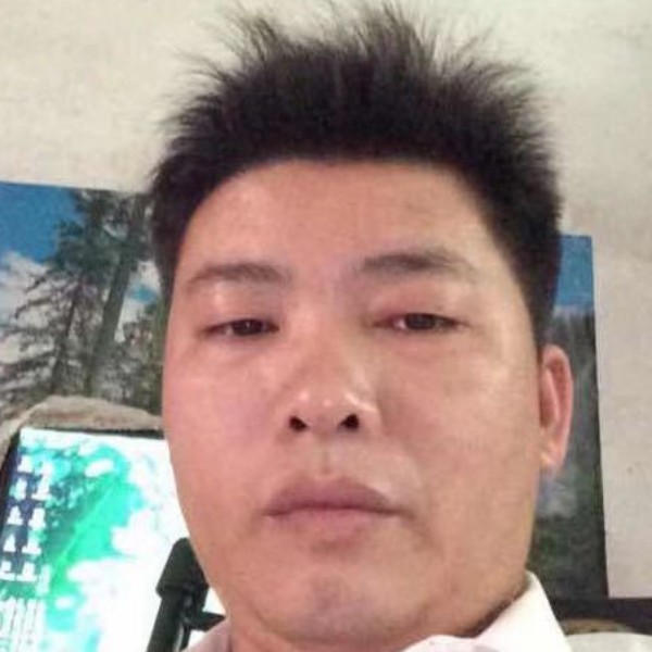 小海豚回眸长情的照片