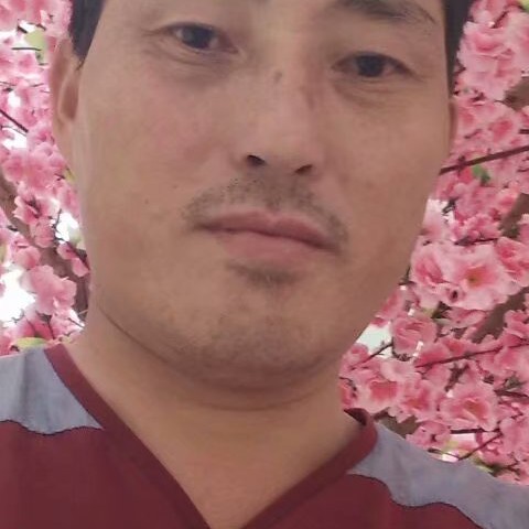 毛衣神勇的照片