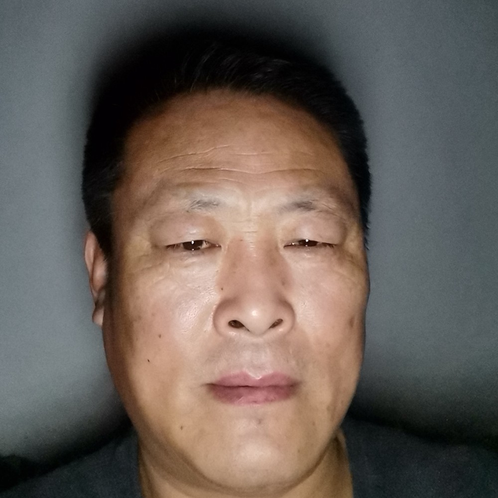 鼠标安详的照片
