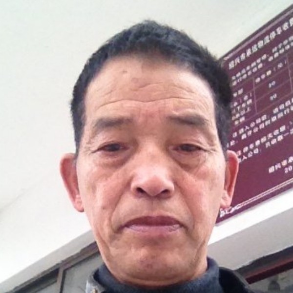 乌龟贤惠的照片