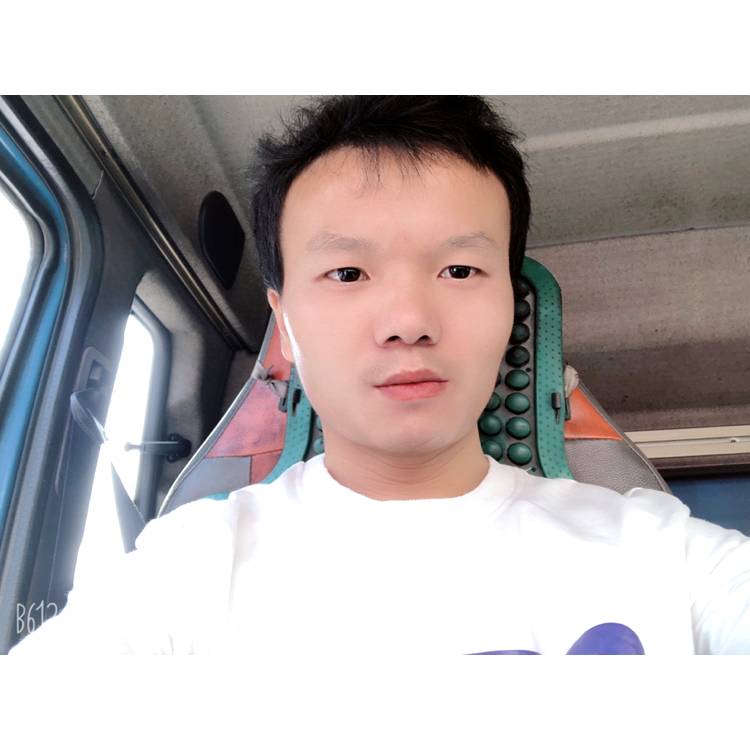 淡淡给羽毛的照片