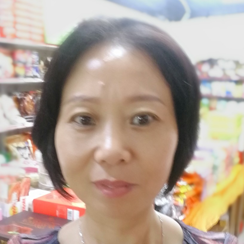 孤独大雁。的照片