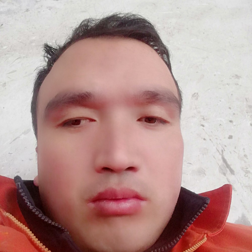 鱼深拥秀丽的照片