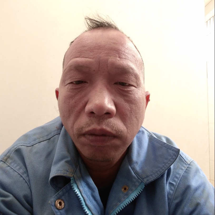 红牛感性的照片