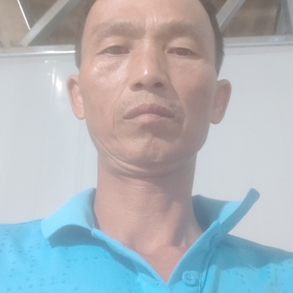 阔达停止大雁的照片